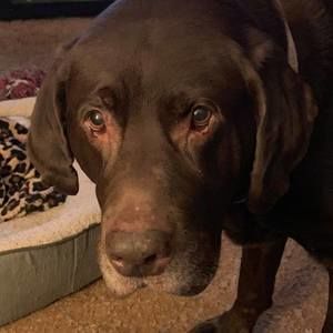 Meet your Posher, Karen